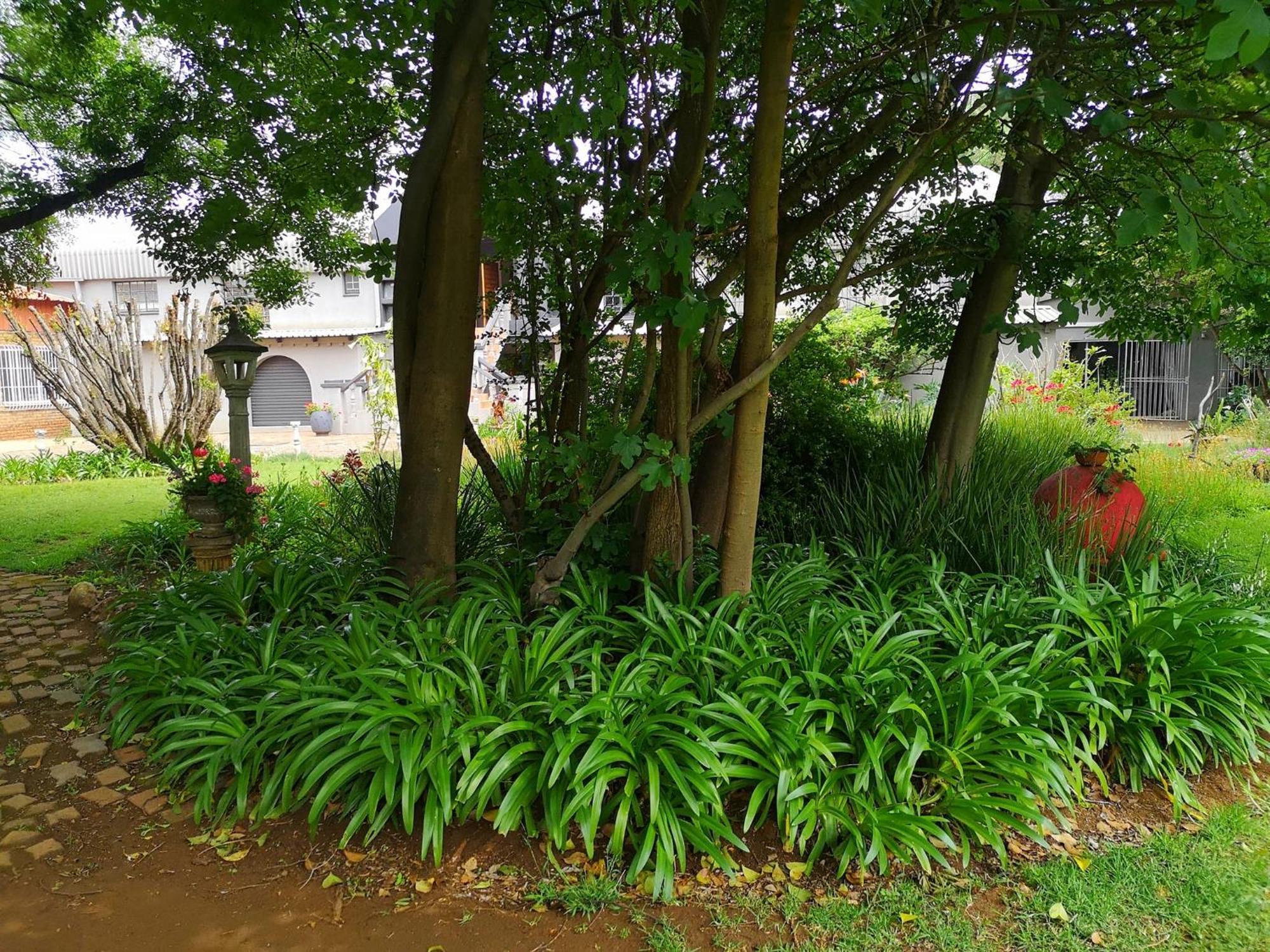 Elsjes Guesthouse Kempton Park Bagian luar foto
